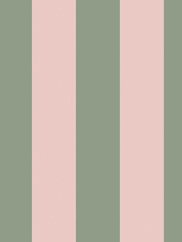 Canopy Stripe fabric in green and pink color - pattern number 125518 - by Graham and Brown in the Cath Kidston Collection collection