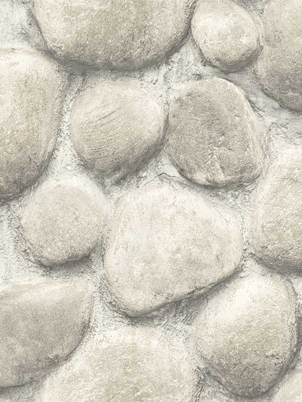 Root Rock fabric in brown color - pattern number 4142-72610 - by Chesapeake in the Yellowstone collection