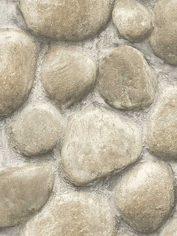Root Rock fabric in grey color - pattern number 4142-72611 - by Chesapeake in the Yellowstone collection