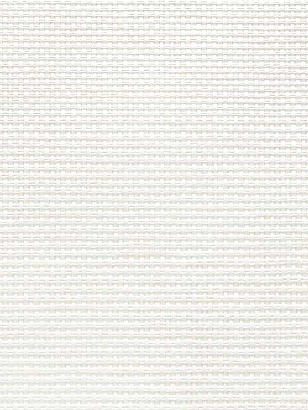 Paperweave fabric in arctic white color - pattern number CL50009 - by Carl Robinson in the Carl Robinson 20 White Natural Textures collection
