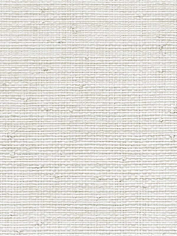 Raffia fabric in cold foam color - pattern number CL50044 - by Carl Robinson in the Carl Robinson 20 White Natural Textures collection