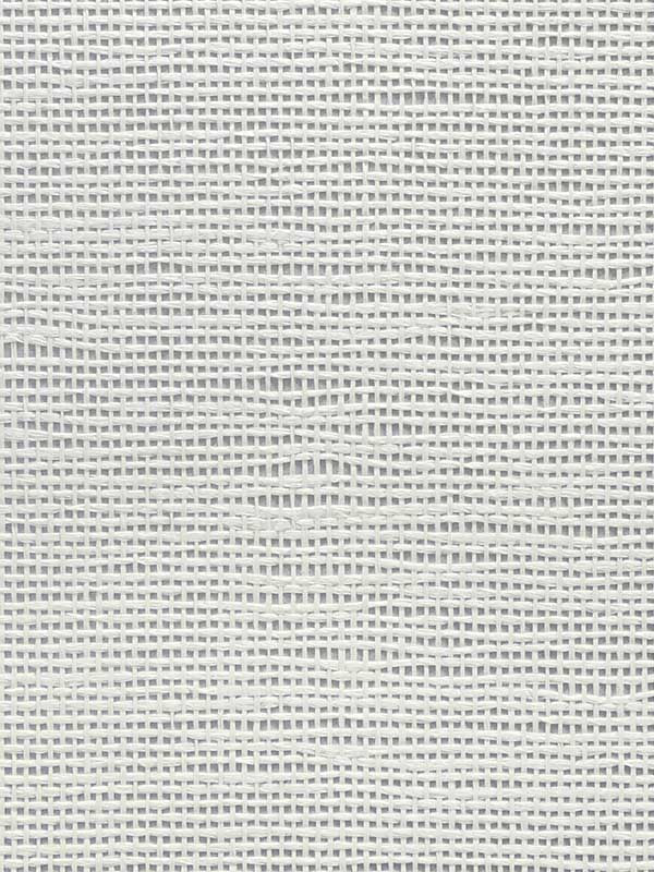 Paperweave fabric in brushed silver color - pattern number CL50053 - by Carl Robinson in the Carl Robinson 20 White Natural Textures collection