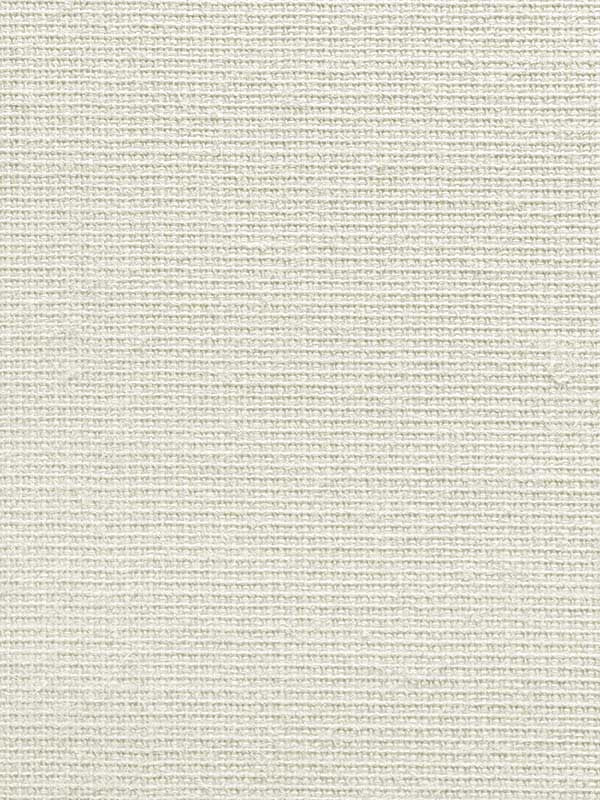 Paperweave fabric in white heron color - pattern number CL50057 - by Carl Robinson in the Carl Robinson 20 White Natural Textures collection