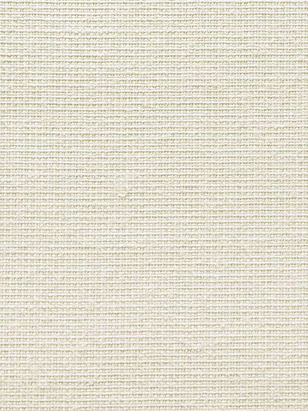 Netting fabric in tusk color - pattern number CL50058 - by Carl Robinson in the Carl Robinson 20 White Natural Textures collection