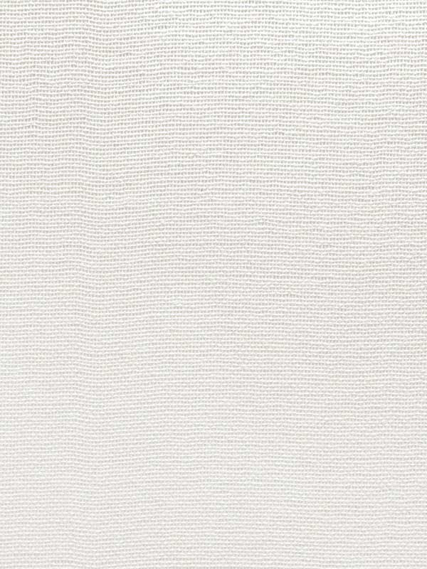 Netting fabric in paper color - pattern number CL50060 - by Carl Robinson in the Carl Robinson 20 White Natural Textures collection