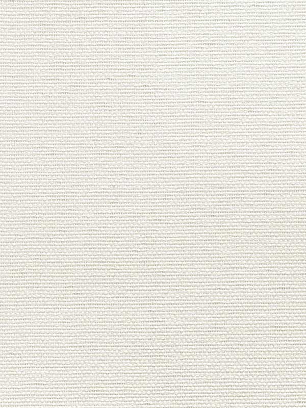 Paperweave fabric in pearla color - pattern number CL50062 - by Carl Robinson in the Carl Robinson 20 White Natural Textures collection