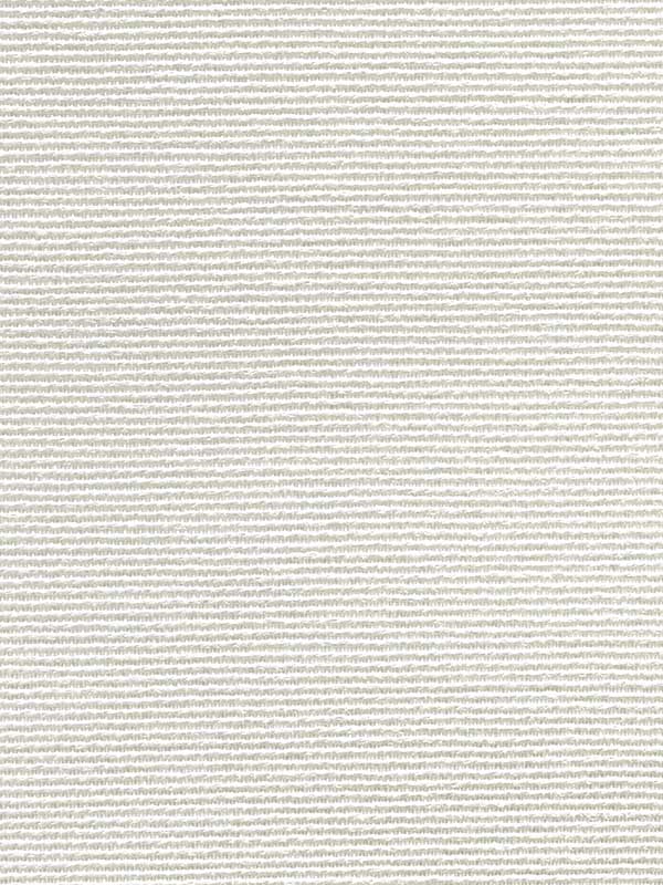 Paperweave fabric in off white color - pattern number CL50063 - by Carl Robinson in the Carl Robinson 20 White Natural Textures collection