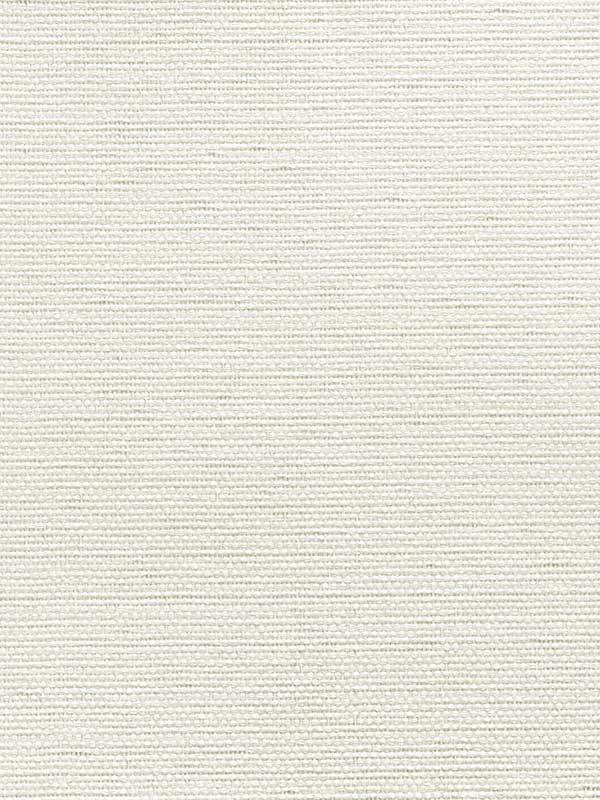 Paperweave fabric in casablanca color - pattern number CL50064 - by Carl Robinson in the Carl Robinson 20 White Natural Textures collection