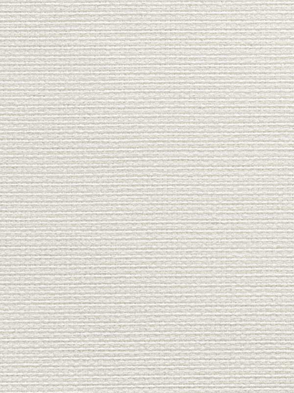 Paperweave fabric in powdered sugar color - pattern number CL50065 - by Carl Robinson in the Carl Robinson 20 White Natural Textures collection