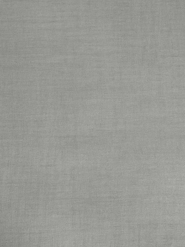Seta fabric in silver color - pattern number CW10006 - by Coraggio in the Coraggio Volume 1 collection