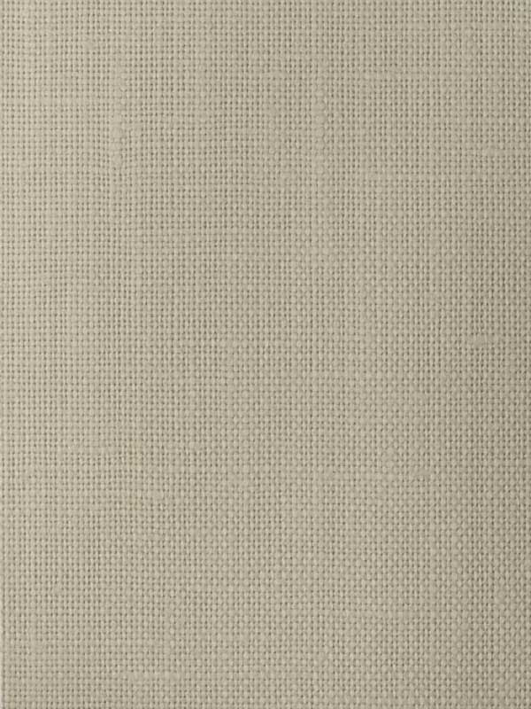Ghent fabric in grey color - pattern number CW10017 - by Coraggio in the Coraggio Volume 1 collection