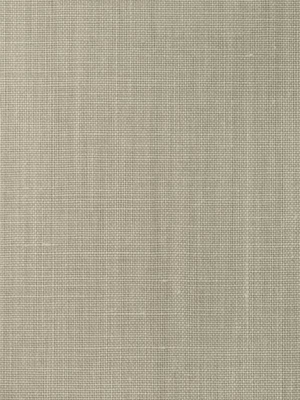 Fine Linen fabric in dark grey color - pattern number CW10021 - by Coraggio in the Coraggio Volume 1 collection