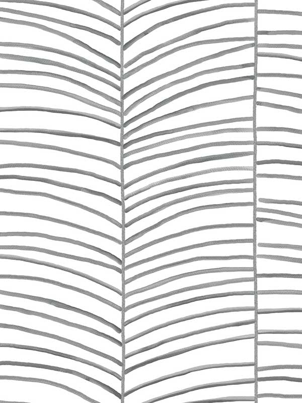 Cascade Palm Chevron wallpaper in onyx color - pattern number MT5673 - by York in the Montecito collection