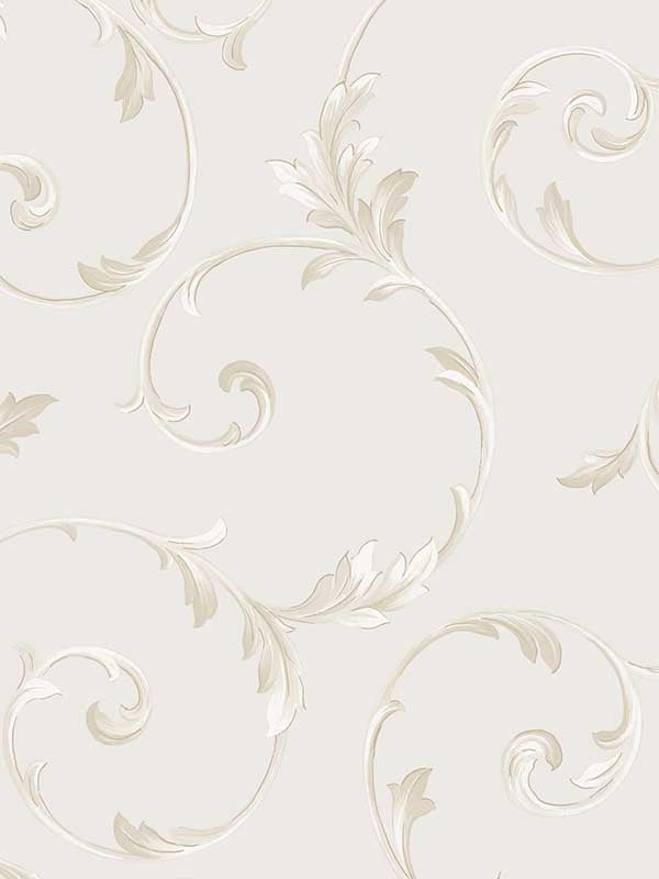 In register Scroll wallpaper in stone metallic color - pattern number CI38238 - by Patton Norwall in the Classic Impressions collection