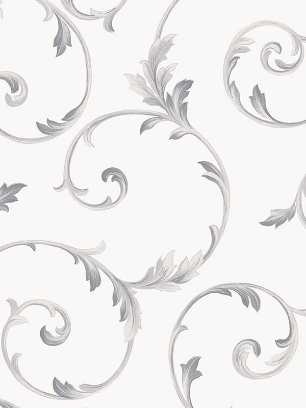 In register Scroll wallpaper in stone grey metallic silver color - pattern number CI38239 - by Patton Norwall in the Classic Impressions collection