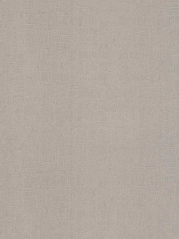 Chiseled Abstract fabric in grey color - pattern number 4178-4404 - by Warner in the Modern Expressions collection