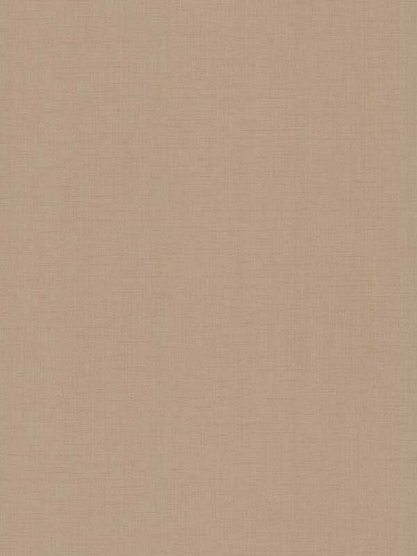 Evermore Woven fabric in wheat color - pattern number 4178-4409 - by Warner in the Modern Expressions collection