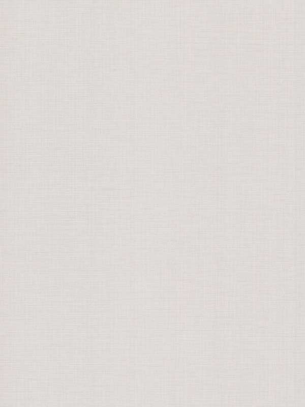 Evermore Woven fabric in white color - pattern number 4178-4410 - by Warner in the Modern Expressions collection