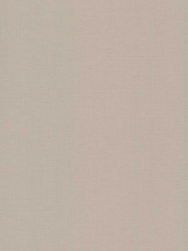Evermore Woven fabric in light grey color - pattern number 4178-4411 - by Warner in the Modern Expressions collection