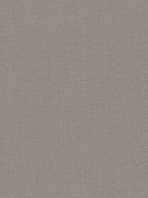 Evermore Woven fabric in grey color - pattern number 4178-4412 - by Warner in the Modern Expressions collection