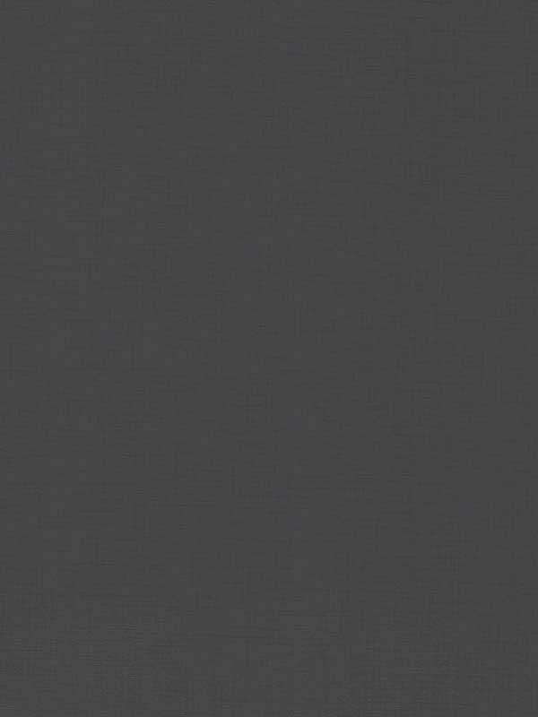 Evermore Woven fabric in charcoal color - pattern number 4178-4414 - by Warner in the Modern Expressions collection