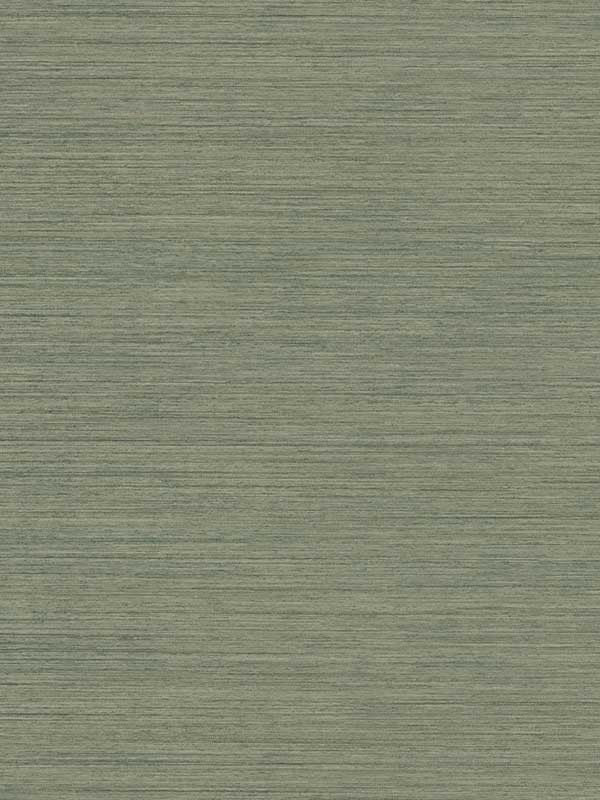 Nira wallpaper Weave wallpaper in green color - pattern number 4183-4845 - by Warner in the Grasscloth Resource Volume 2 collection