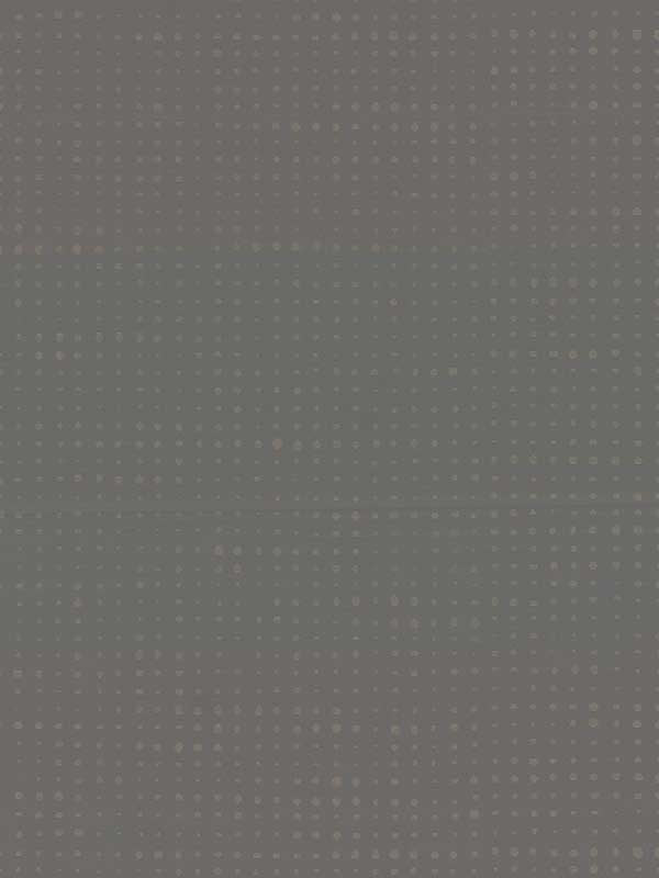 Brielle Polka Dot fabric in pewter color - pattern number 4181-4707 - by Warner in the Infinity collection
