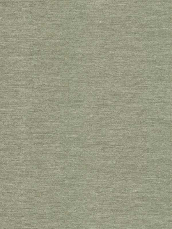 Declan Woven fabric in moss color - pattern number 4181-4733 - by Warner in the Infinity collection