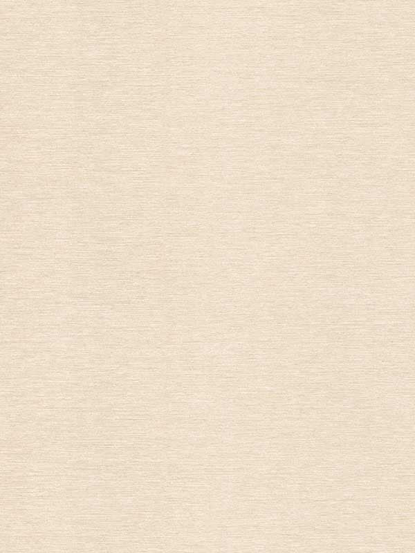Declan Woven fabric in beige color - pattern number 4181-4734 - by Warner in the Infinity collection