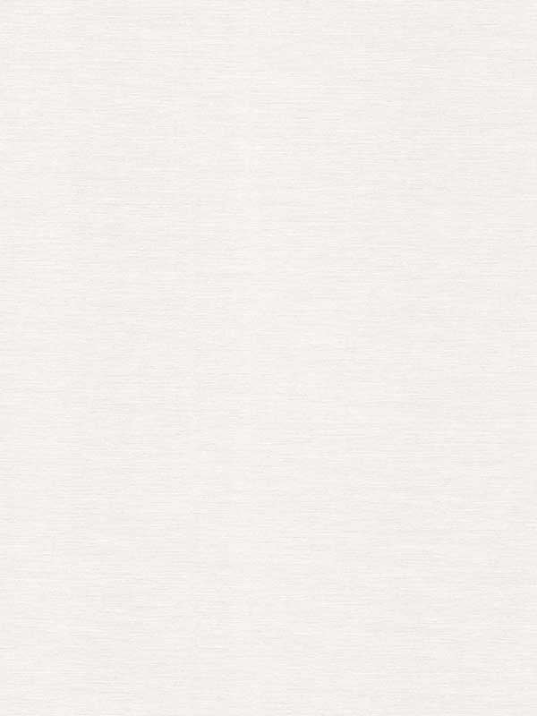 Declan Woven fabric in dove color - pattern number 4181-4737 - by Warner in the Infinity collection