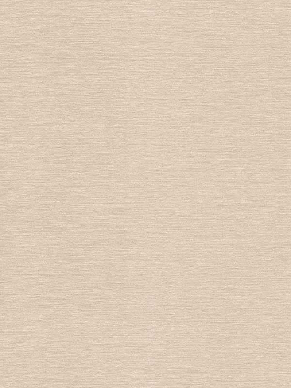 Declan Woven fabric in taupe color - pattern number 4181-4738 - by Warner in the Infinity collection