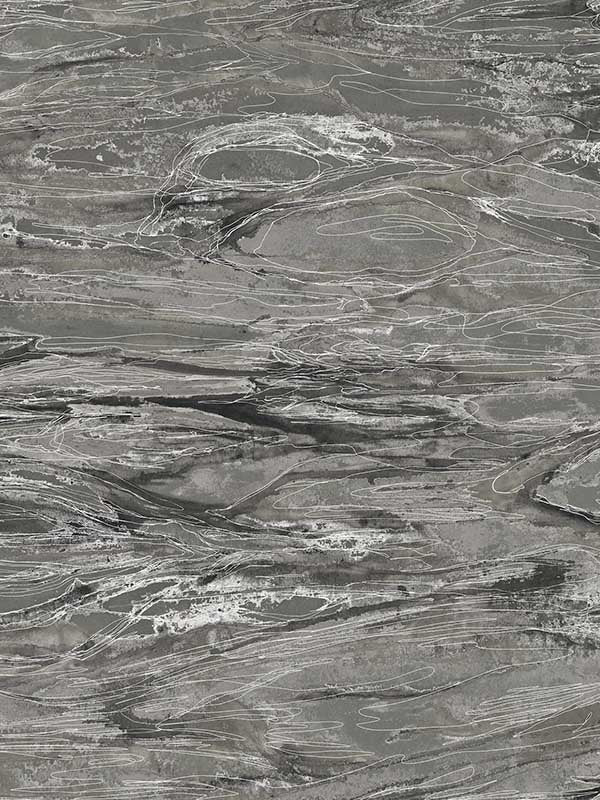 Nyla Metallic Scribble fabric in charcoal color - pattern number 4184-4916 - by Warner in the Infinity collection
