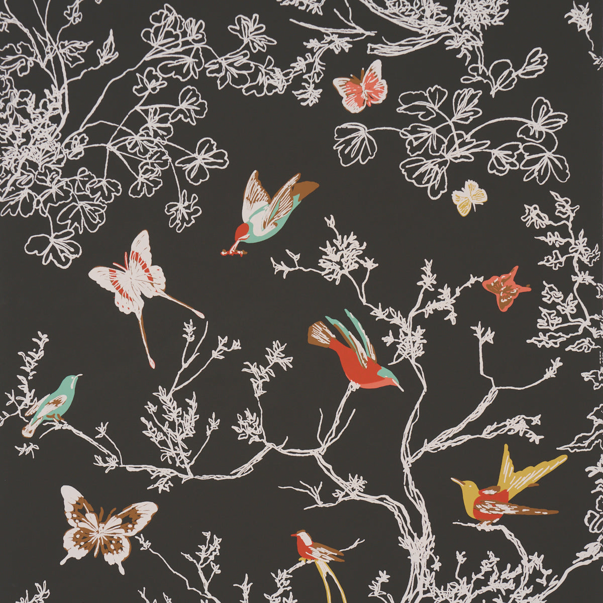 Birds and Butterflies Wallpaper in graphite color - pattern number 2704422 - by Schumacher in the Perennial Favorites collection