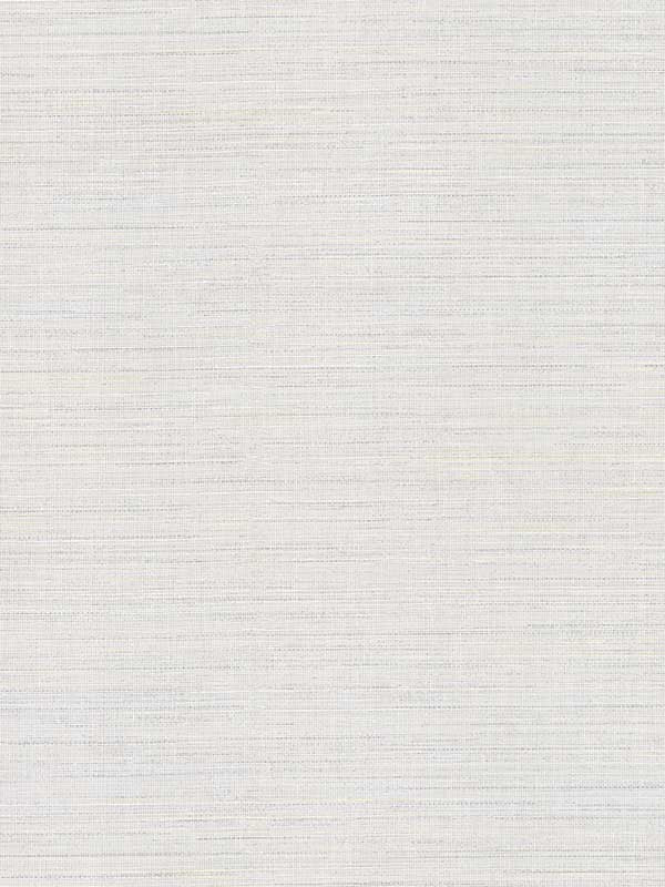 Malik Netting wallpaper in light grey color - pattern number 4184-4944 - by Warner in the Infinity collection