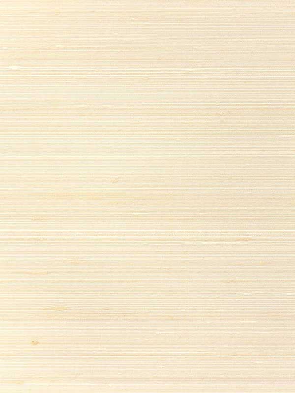 Grayson fabric in nude color - pattern number WNS5523.WT.0 - by Winfield Thybony in the Classic Elegance collection
