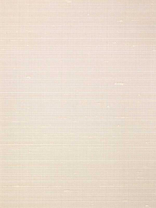 Misheo fabric in nutmeg color - pattern number WNS5542.WT.0 - by Winfield Thybony in the Classic Elegance collection