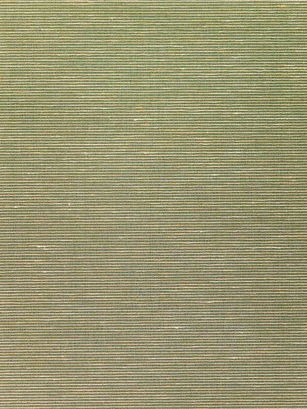Althea Plain wallpaper in olive color - pattern number WNS5576.WT.0 - by Winfield Thybony in the Classic Elegance collection