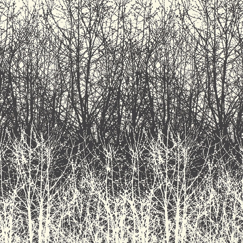 Birches fabric in black white color - pattern number 2707243 - by Schumacher in the Avant Garde collection