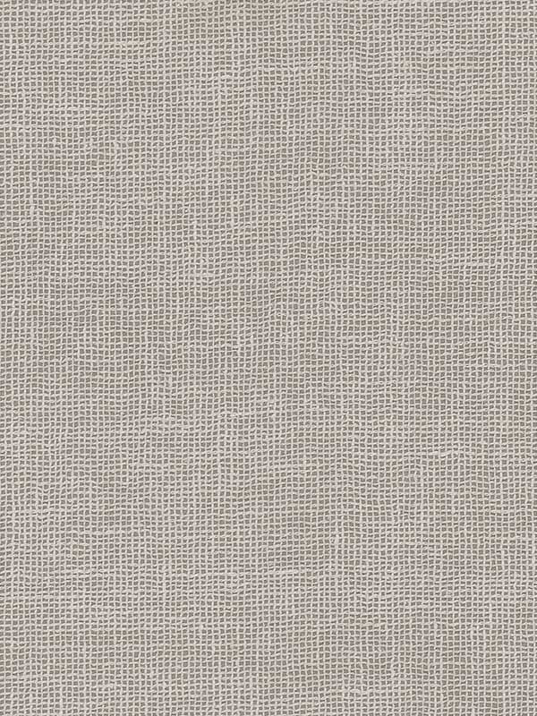 Huri fabric in grey color - pattern number MX9602 - by Ronald Redding in the Astoria collection