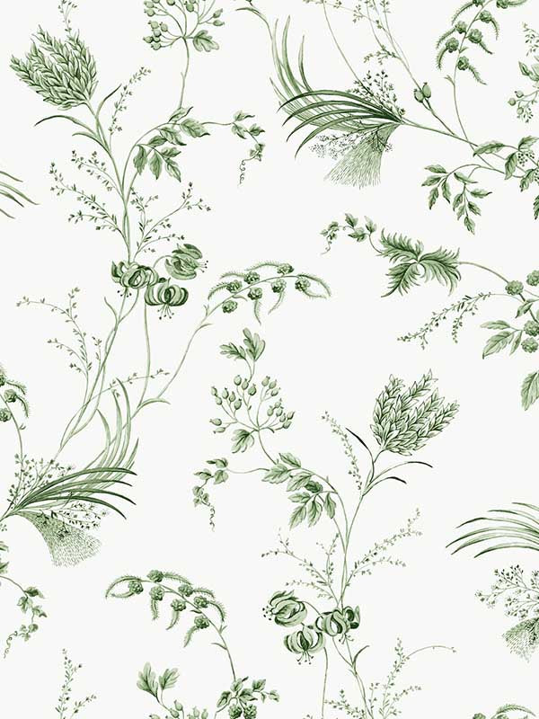 Floral Lace wallpaper in green color - pattern number MX9680 - by Ronald Redding in the Astoria collection