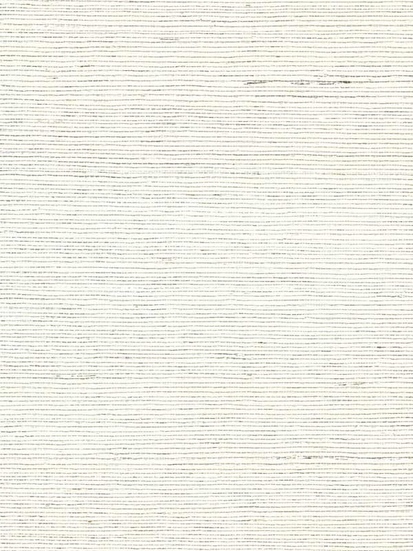 Chiyo Sisal fabric in ivory white color - pattern number WNR2002.WT.0 - by Winfield Thybony in the Natural Resources Vol. II collection