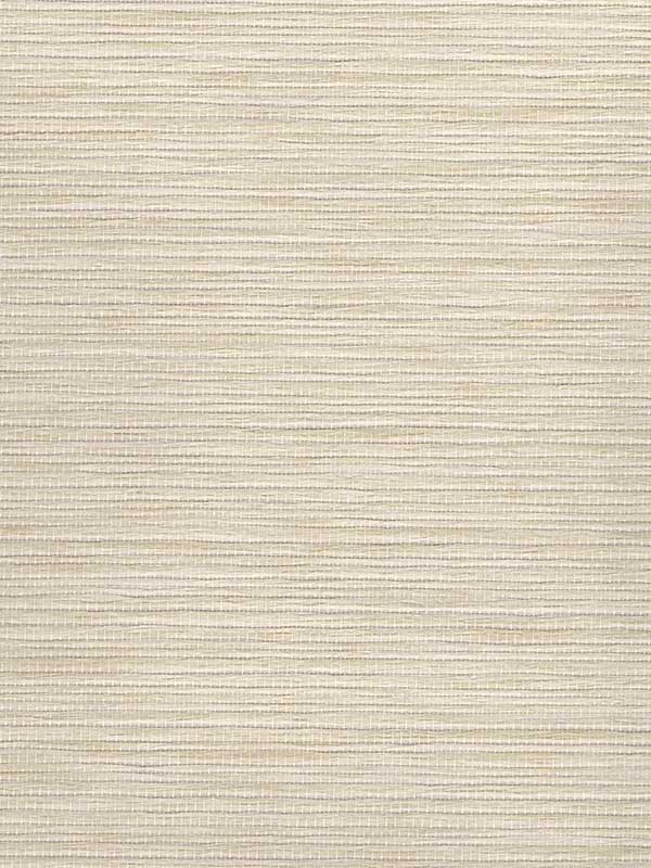 Ema Weave fabric in ivory color - pattern number WNR2015.WT.0 - by Winfield Thybony in the Natural Resources Vol. II collection