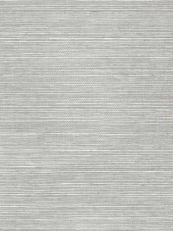 Chiyo Sisal fabric in buff color - pattern number WNR2025.WT.0 - by Winfield Thybony in the Natural Resources Vol. II collection
