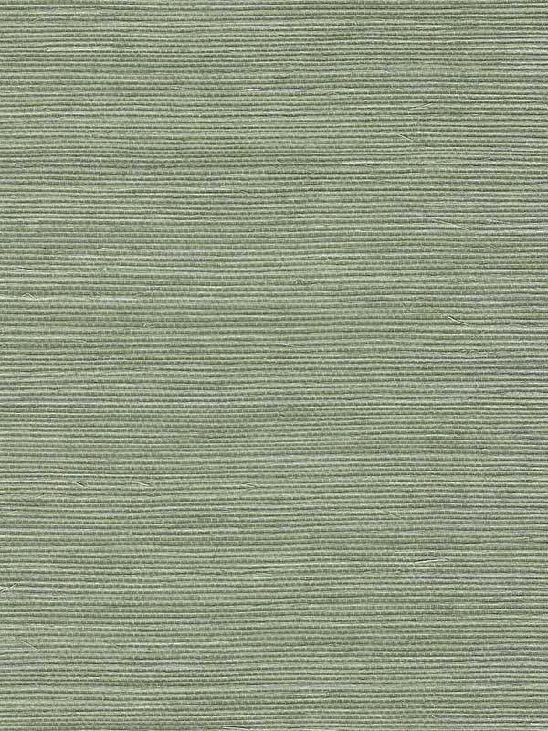 Chiyo Sisal wallpaper in sage color - pattern number WNR2110.WT.0 - by Winfield Thybony in the Natural Resources Vol. II collection