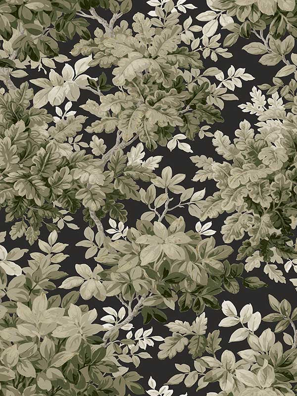 Greenwood Deciduous wallpaper in black color - pattern number 4147-80005 - by A Street Prints in the Haberdashery collection