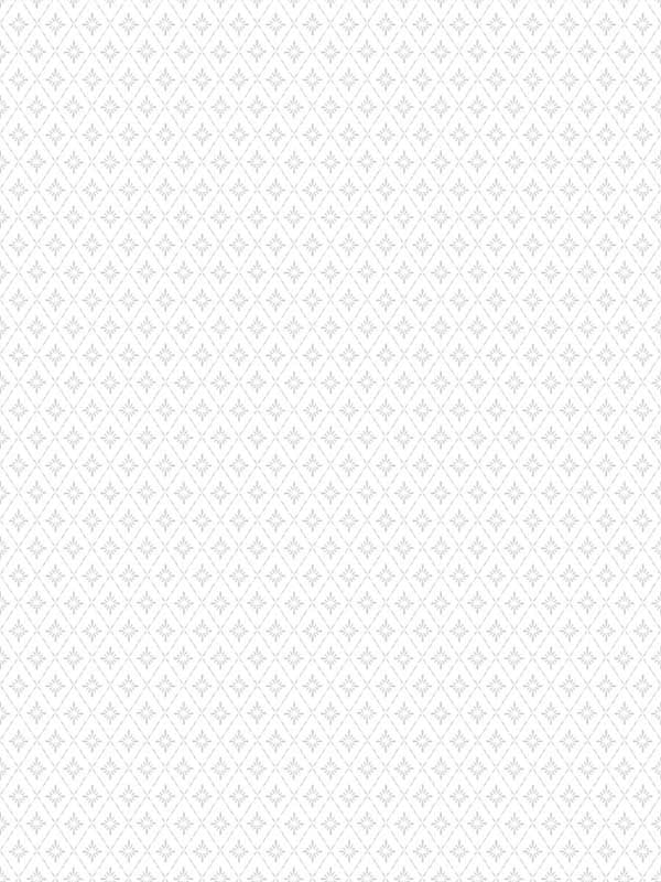 Frette wallpaper in grey color - pattern number WDR2053.WT.0 - by Winfield Thybony in the Historical Wallpaper Collection collection
