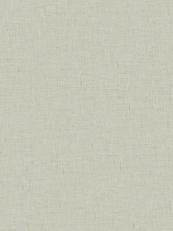 Theodore fabric in slate color - pattern number CL70508 - by Carl Robinson in the Carl Robinson 21 The Gentleman collection