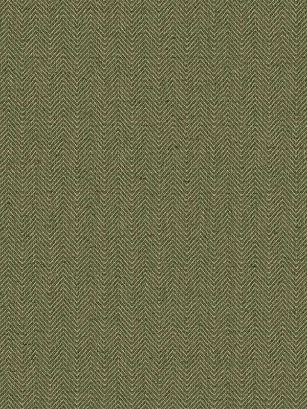 Thomas fabric in fern color - pattern number CL70904 - by Carl Robinson in the Carl Robinson 21 The Gentleman collection