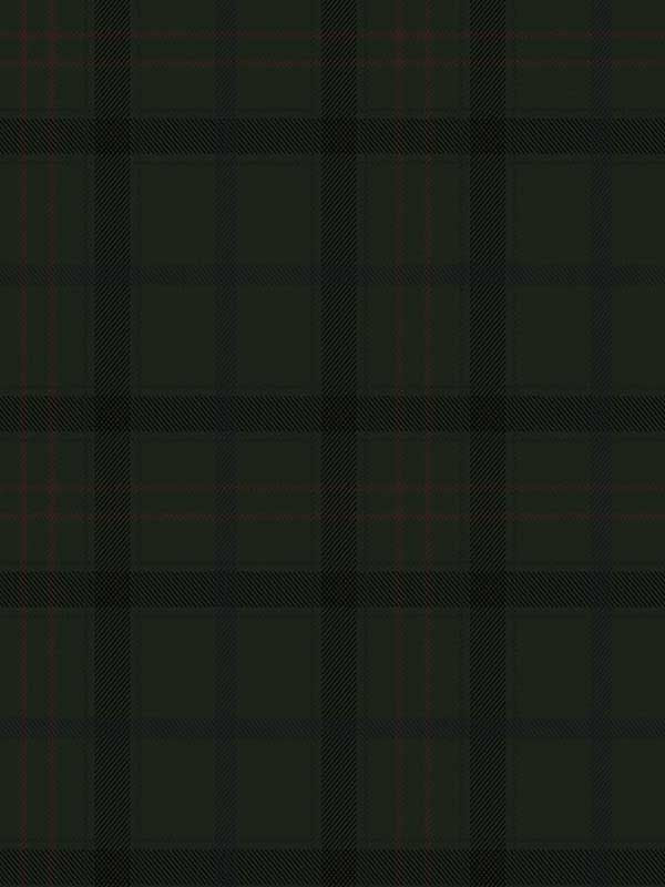 Tailor Plaid Prepasted fabric in greenery color - pattern number EP10304 - by Seabrook in the Etten Prepasted Wallcovering collection