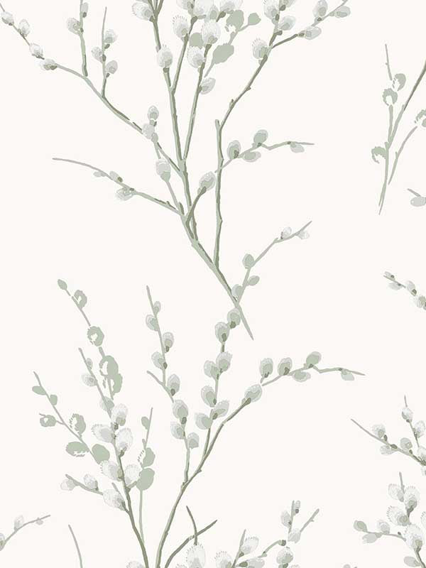 Pussy Willow wallpaper in sage green color - pattern number 130115 - by Laura Ashley in the Laura Ashley Spring Summer 2025 Collection collection